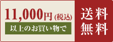 10,800円 (税込) 以上のお買い物で送料無料