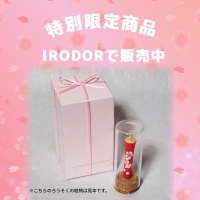 公式サイト】有限会社中村ローソク ｜ 京都伏見の和蝋燭(ろうそく)、絵