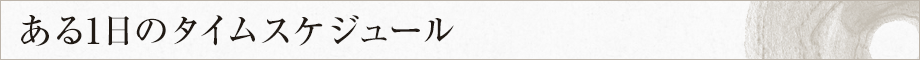 ある1日のタイムスケジュール